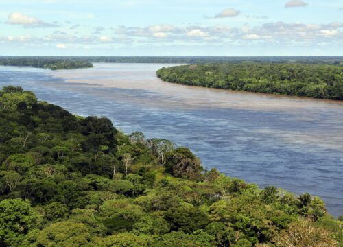 Amazon Jungle Also Called Amazonia Is Considered a Moist Broadleaf Tropical Rainforest In The World