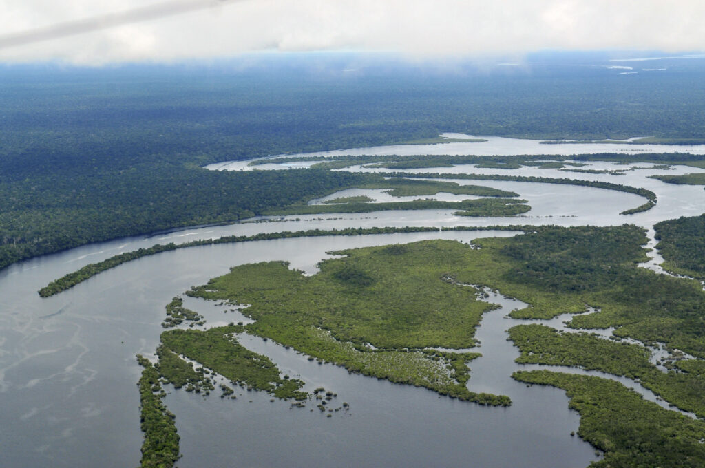 Amazon Jungle Also Called Amazonia Is Considered a Moist Broadleaf Tropical Rainforest In The World | SUPERPOBYT Travel