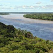 Amazon Jungle Also Called Amazonia Is Considered a Moist Broadleaf Tropical Rainforest In The World | SUPERPOBYT Travel
