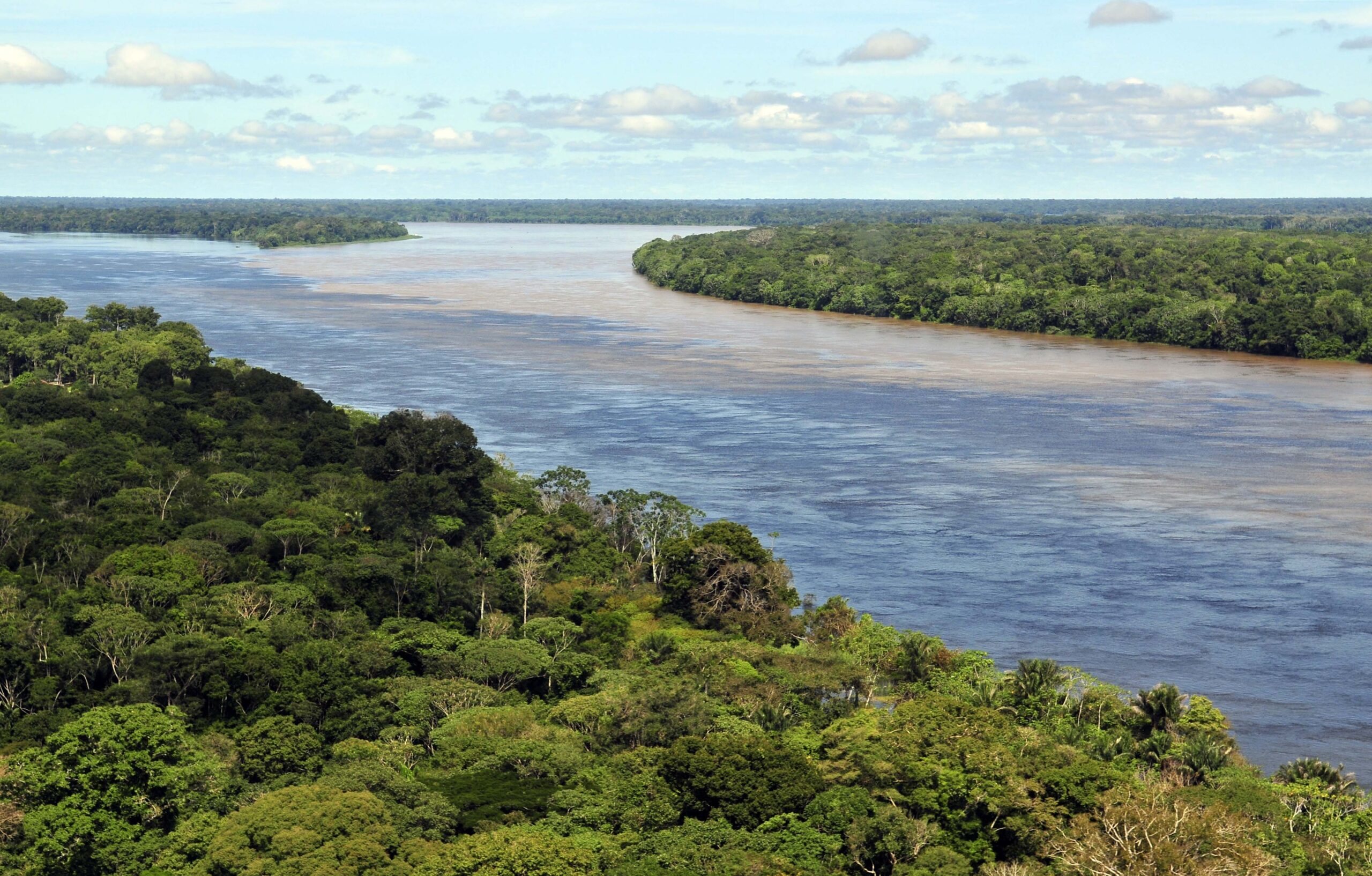 Amazon Jungle Also Called Amazonia Is Considered a Moist Broadleaf Tropical Rainforest In The World | SUPERPOBYT Travel