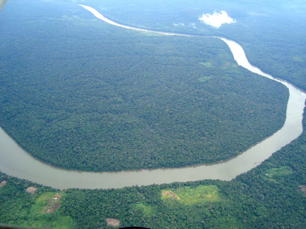 Amazon Jungle Also Called Amazonia Is Considered a Moist Broadleaf Tropical Rainforest In The World | SUPERPOBYT Travel