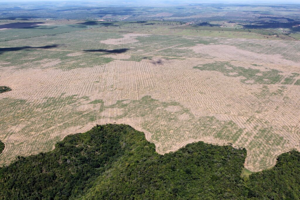 Amazon Jungle Also Called Amazonia Is Considered a Moist Broadleaf Tropical Rainforest In The World | SUPERPOBYT Travel