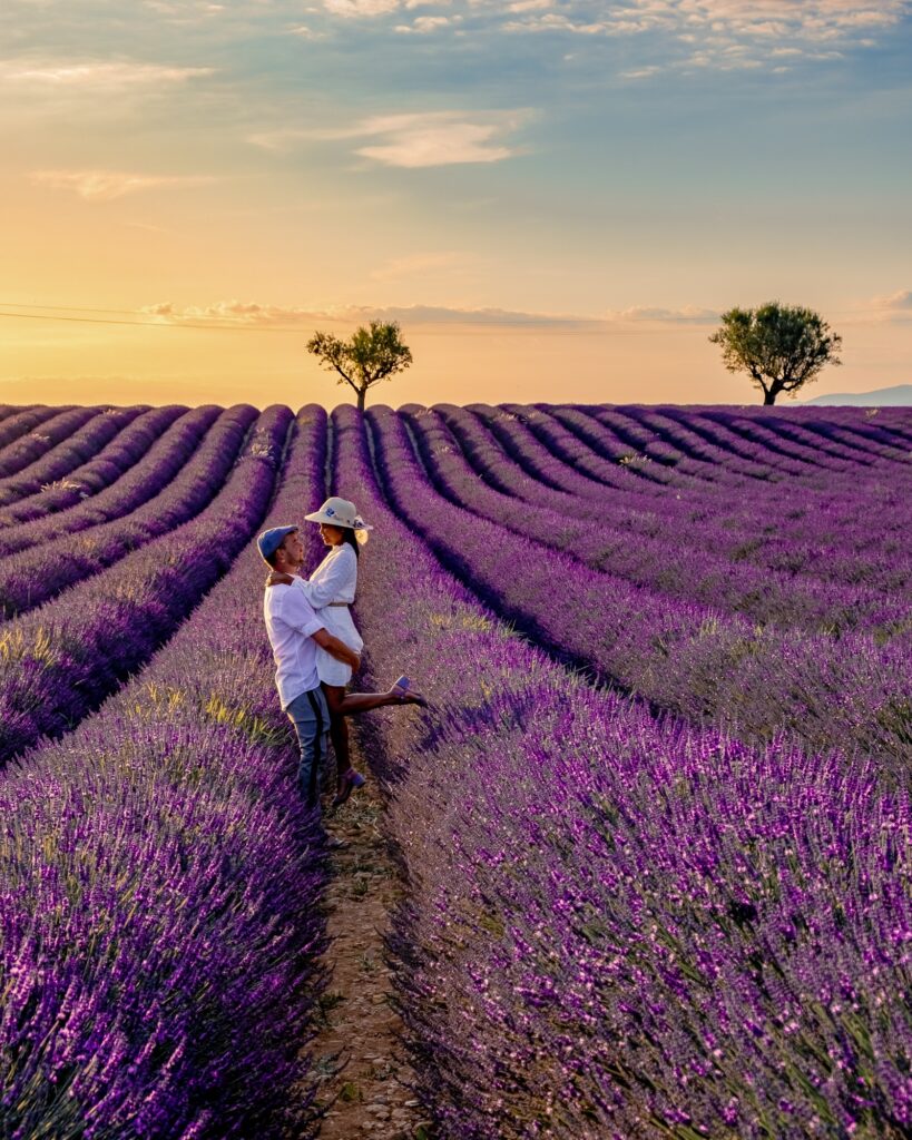 Lavender field and Simiane la Rotonde village. Provence, France | SUPERPOBYT Travel