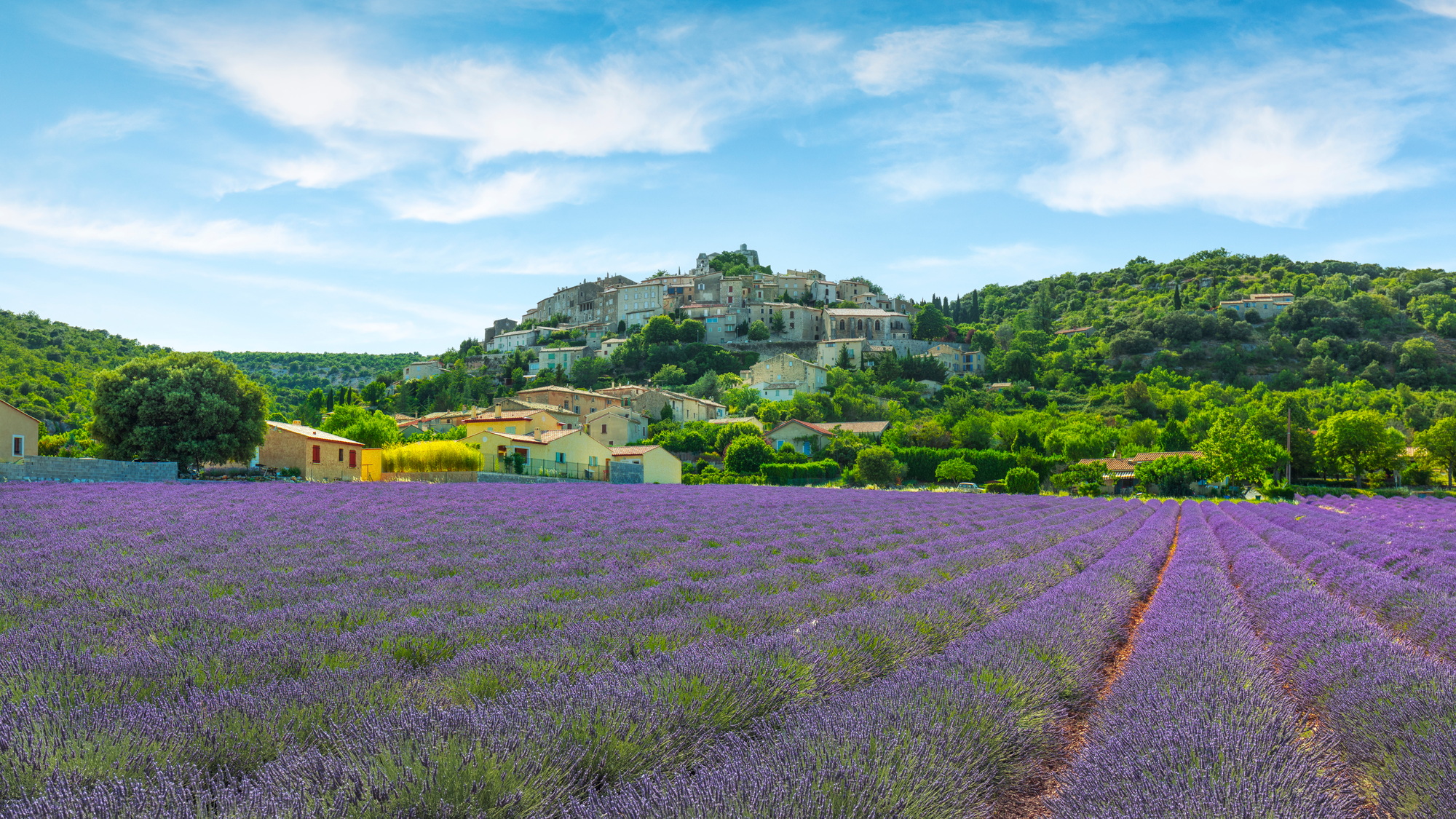 Lavender field and Simiane la Rotonde village. Provence, France | SUPERPOBYT Travel