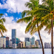 Top Activities to Experience in the Florida Keys | SUPERPOBYT Travel