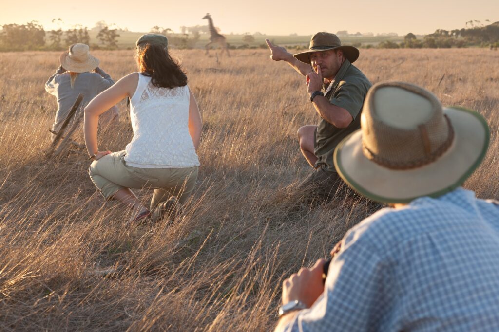People watching giraffe on safari, Stellenbosch, South Africa | SUPERPOBYT Travel