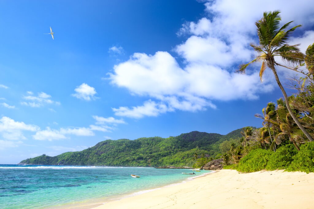 Exotic Joy Including Fabulous Beaches And Environment At Seychelle Island | SUPERPOBYT Travel
