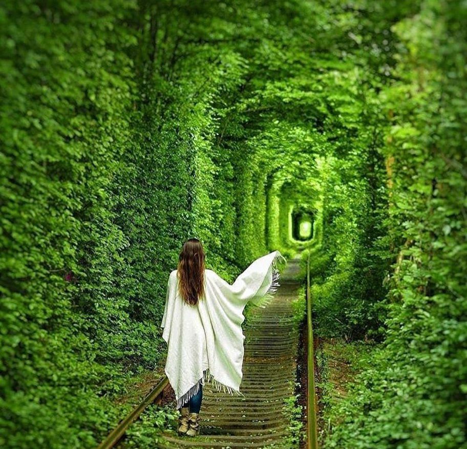 The Tunnel Of Love Is Hidden Gem And Widely Known For Being A Favorite Destination Among Heterosexual Couples Who Are In Love | SUPERPOBYT Travel