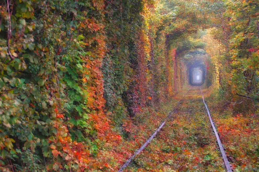 The Tunnel Of Love Is Hidden Gem And Widely Known For Being A Favorite Destination Among Heterosexual Couples Who Are In Love | SUPERPOBYT Travel