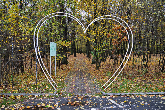 The Tunnel Of Love Is Hidden Gem And Widely Known For Being A Favorite Destination Among Heterosexual Couples Who Are In Love | SUPERPOBYT Travel