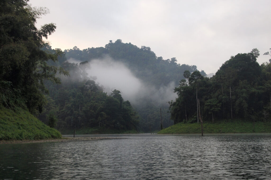 Everything You Need To Know Before And When Is Great To Visiting Khao Sok National Park | SUPERPOBYT Travel