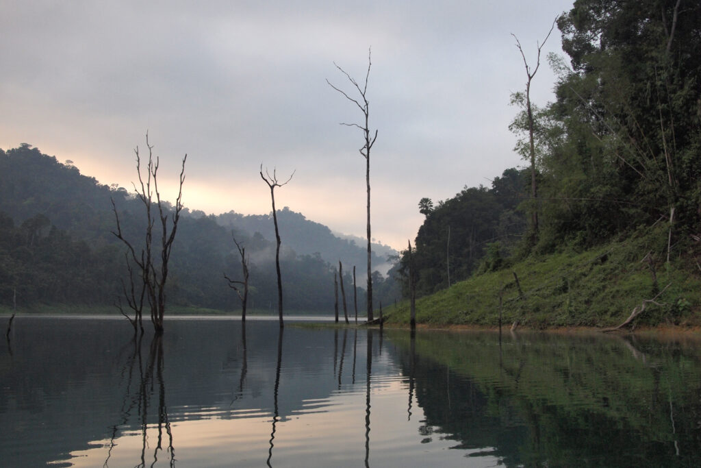 Everything You Need To Know Before And When Is Great To Visiting Khao Sok National Park | SUPERPOBYT Travel