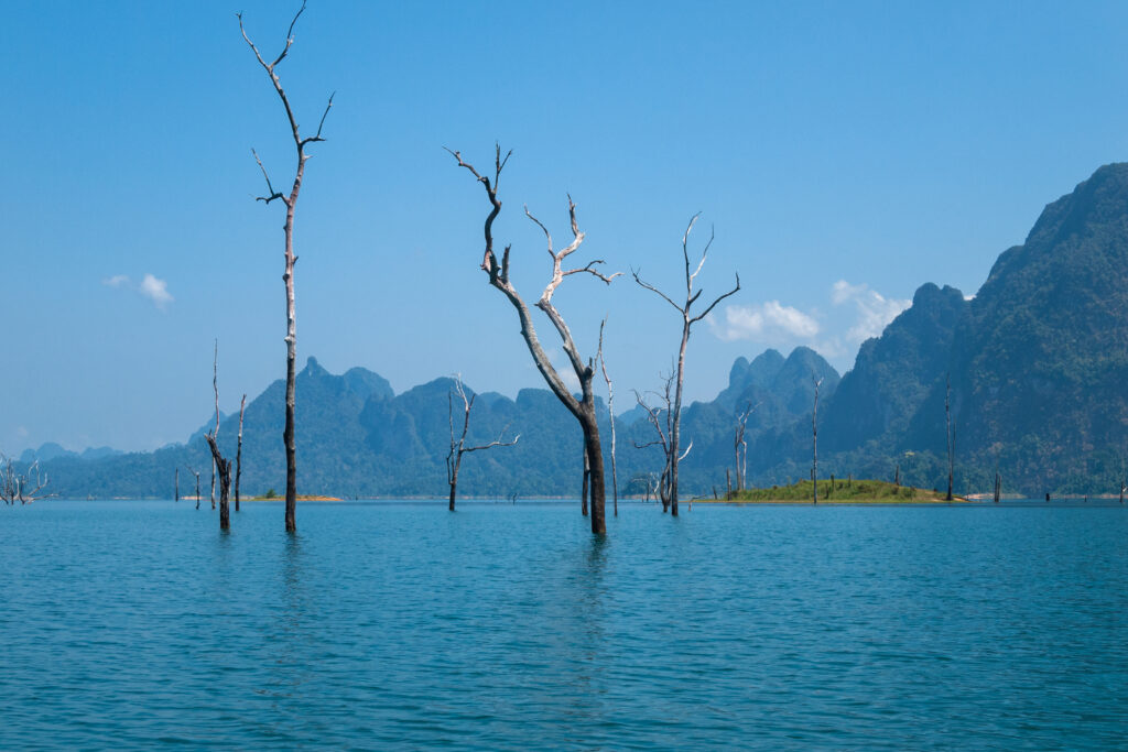 Everything You Need To Know Before And When Is Great To Visiting Khao Sok National Park | SUPERPOBYT Travel