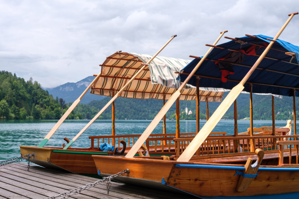 Everything You Need To Know Before And When Is Great To Visiting Khao Sok National Park | SUPERPOBYT Travel