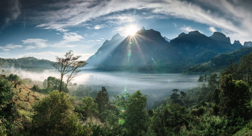 Everything You Need To Know Before And When Is Great To Visiting Khao Sok National Park | SUPERPOBYT Travel