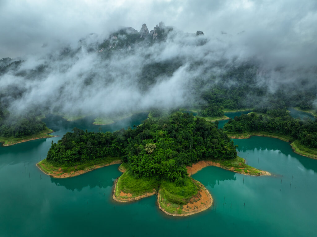 Everything You Need To Know Before And When Is Great To Visiting Khao Sok National Park | SUPERPOBYT Travel